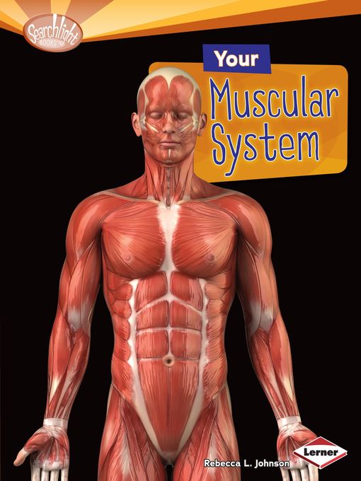 Title details for Your Muscular System by Rebecca L. Johnson - Available